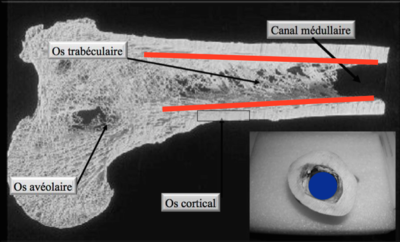 Capture d’écran 2014-11-07 à 20.24.08.png
