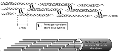 Capture d’écran 2014-11-07 à 20.19.20.png