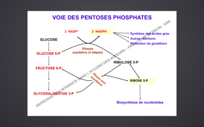Capture d’écran 2014-11-08 à 12.10.44.png