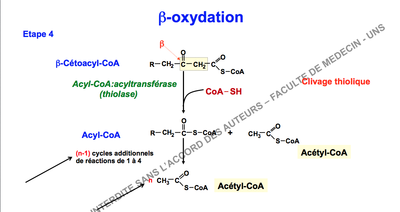 Capture d’écran 2014-11-09 à 14.01.46.png