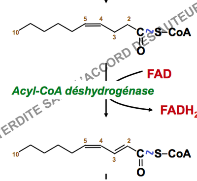Capture d’écran 2014-11-09 à 16.12.46.png