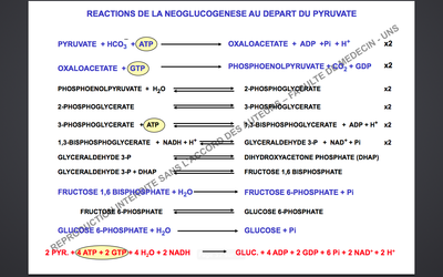 Capture d’écran 2014-11-09 à 17.44.19.png