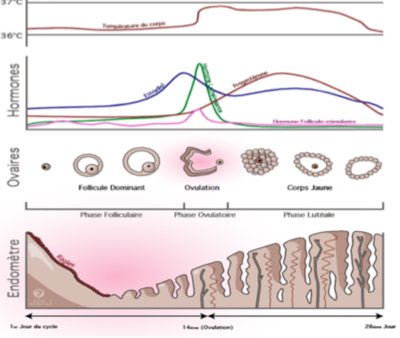 Capture d’écran 2014-11-09 à 18.47.52.png