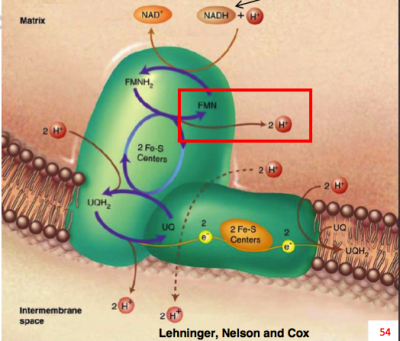 Capture d’écran 2014-11-15 à 20.19.37.png