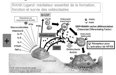 Capture d’écran 2014-11-17 à 09.43.14.png