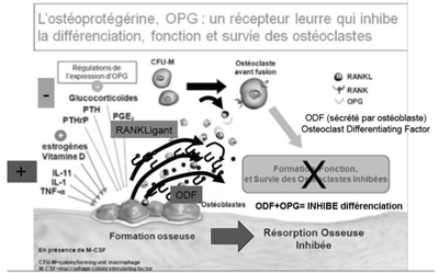 Capture d’écran 2014-11-17 à 09.43.22.png