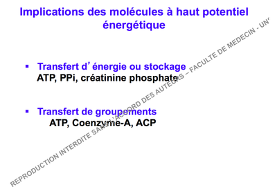 Capture d’écran 2014-11-17 à 11.02.09.png