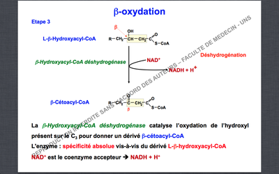 Capture d’écran 2014-11-17 à 16.02.27.png