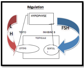 Capture d’écran 2014-11-20 à 16.13.21.png