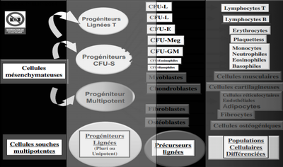 Capture d’écran 2014-11-21 à 09.54.48.png