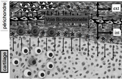 Capture d’écran 2014-11-21 à 10.44.44.png