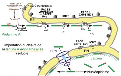 2013-06 Figure 2.jpg