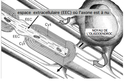 Capture d’écran 2014-11-23 à 00.44.26.png