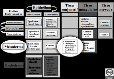 Capture d’écran 2014-11-23 à 21.44.58.png