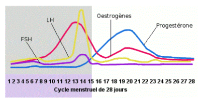 Capture d’écran 2014-11-24 à 07.49.17.png