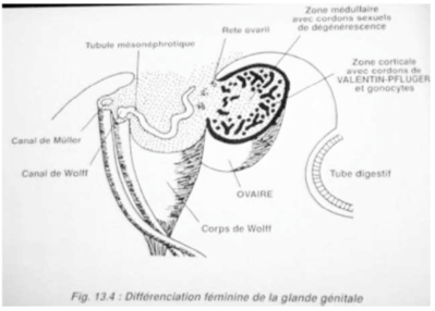 Capture d’écran 2014-11-24 à 10.18.00.png