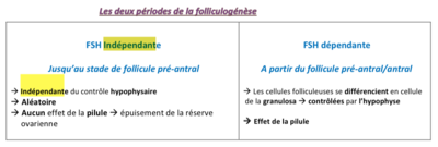 Capture d’écran 2014-11-24 à 11.35.28.png