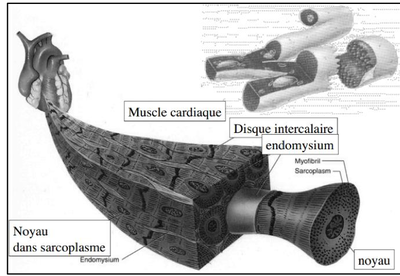 Capture d’écran 2014-11-24 à 14.49.15.png