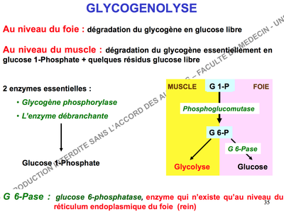 Capture d’écran 2014-11-24 à 16.07.09.png