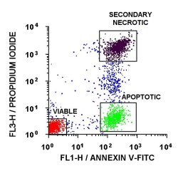 annexin-v-kit-antibody-kit-19cc-image1.jpg