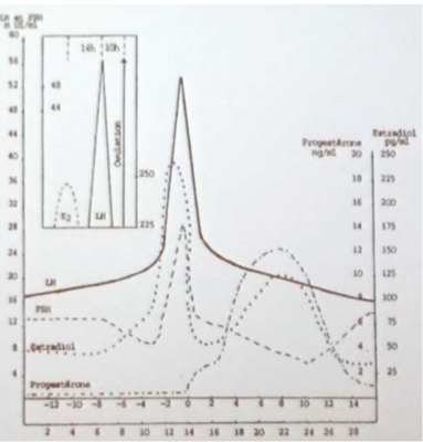 Capture d’écran 2014-11-25 à 13.20.24.png