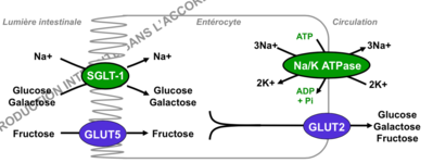 Capture d’écran 2014-11-26 à 14.47.22.png