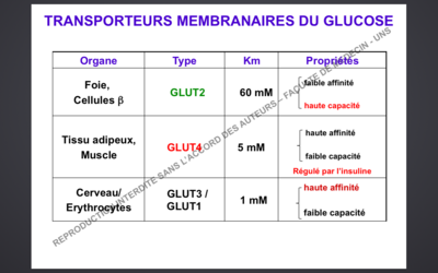 Capture d’écran 2014-11-26 à 14.49.55.png