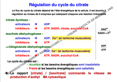 Capture d’écran 2014-11-26 à 22.28.34.png