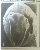 Capture d’écran 2014-11-26 à 22.24.15.png