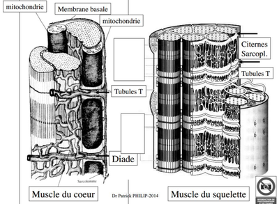 Capture d’écran 2014-11-27 à 13.29.10.png
