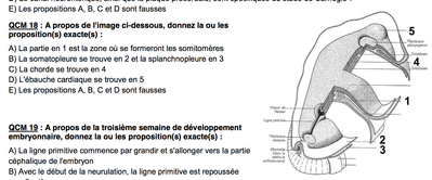 Capture d’écran 2014-11-27 à 14.48.01.png