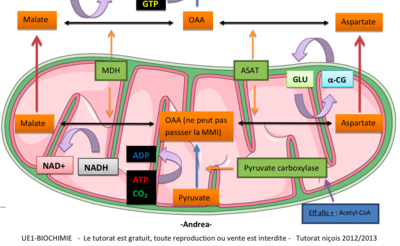 Capture d’écran 2014-11-28 à 16.40.20.png