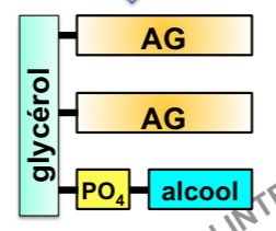 Capture d’écran 2014-11-29 à 15.05.56.png
