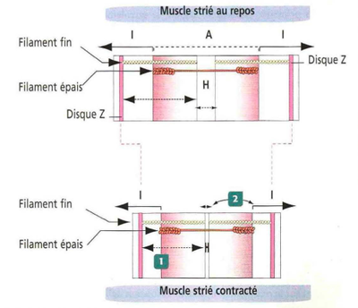Capture d’écran 2014-11-23 à 22.09.06.png