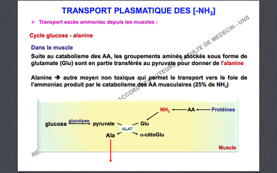 Capture d’écran 2014-11-29 à 17.10.38.png