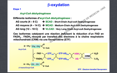 Capture d’écran 2014-11-30 à 13.37.09.png