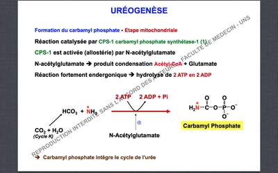 Capture d’écran 2014-11-30 à 16.51.16.png