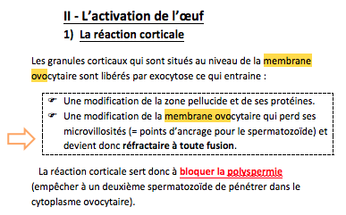 Capture d’écran 2014-11-30 à 19.45.19.png
