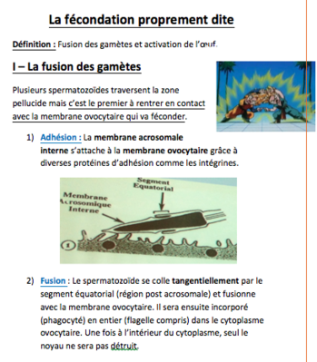 Capture d’écran 2014-11-30 à 20.04.30.png