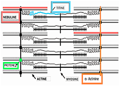 Capture d’écran 2014-11-30 à 21.45.55.png