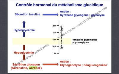 Capture d’écran 2014-12-01 à 11.51.21.png