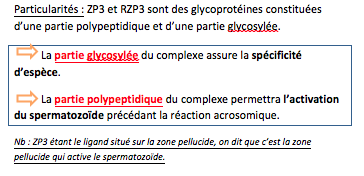Capture d’écran 2014-12-01 à 14.31.05.png