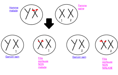 Capture d’écran 2014-12-01 à 15.03.32.png