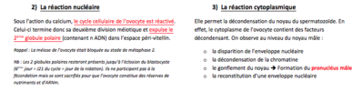 Capture d’écran 2014-12-01 à 15.26.36.png