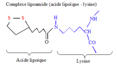 lipoamide.png