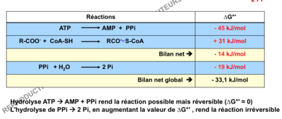 Capture d’écran 2014-12-02 à 09.30.48.png