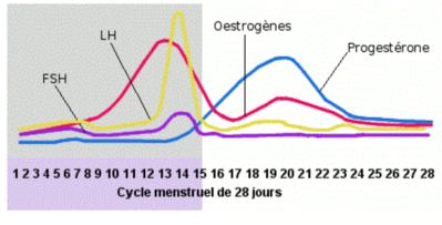 Capture d’écran 2014-12-02 à 10.34.16.png