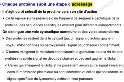 Capture d’écran 2014-12-02 à 17.12.12.png