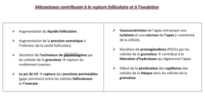 Capture d’écran 2014-12-03 à 14.31.20.png