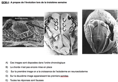 Capture d’écran 2014-12-04 à 09.42.35.png